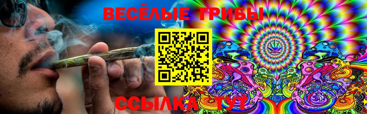 Псилоцибиновые грибы прущие грибы Черкесск